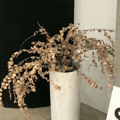 兽设校园场景设计福瑞交流群